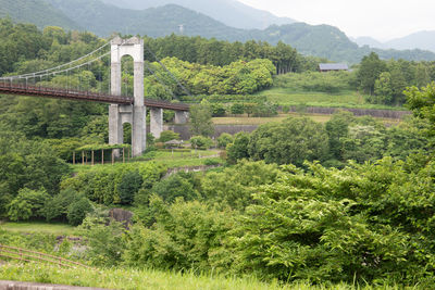 Scenic view of bridge and trees on landscape