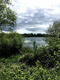 Scenic view of lake against sky