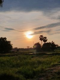 Scenic view of field against sky during sunset