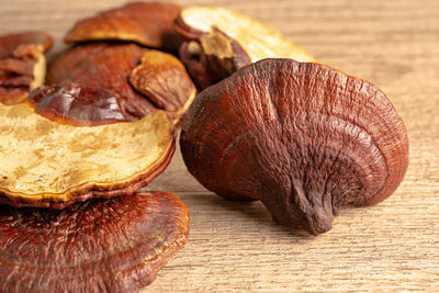 Close-up of mushrooms