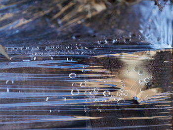 Close-up of waterdrops on glass against water