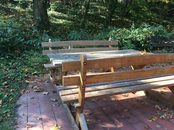 Chairs and table against trees