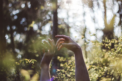 Midsection of woman with arms raised in forest