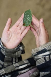 Close-up of woman holding hands