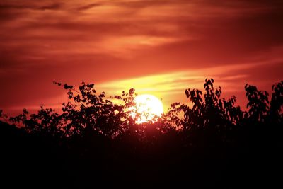 Silhouette trees against sky during sunset