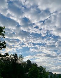 Low angle view of silhouette trees against sky