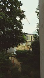 Building with trees in background