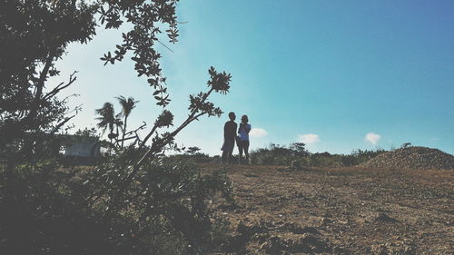 Trees on landscape against blue sky