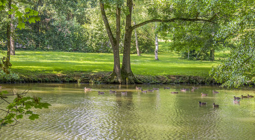 Scenic view of lake