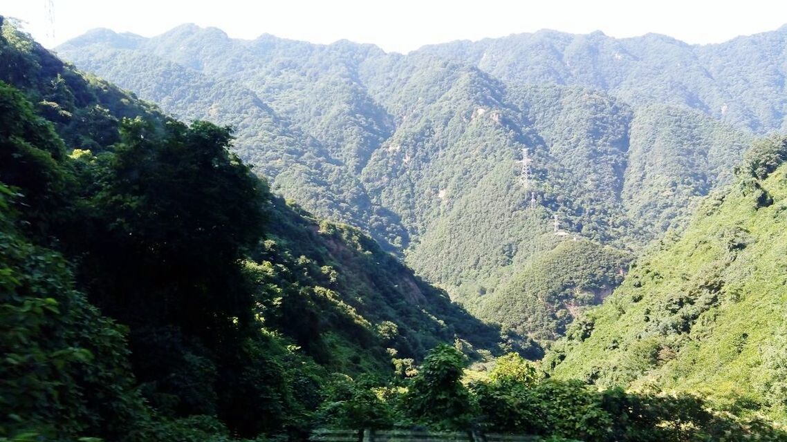 mountain, tranquil scene, mountain range, tranquility, scenics, tree, beauty in nature, landscape, valley, green color, nature, lush foliage, non-urban scene, high angle view, idyllic, forest, growth, remote, day, green