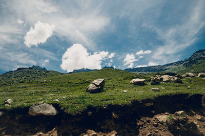 nature