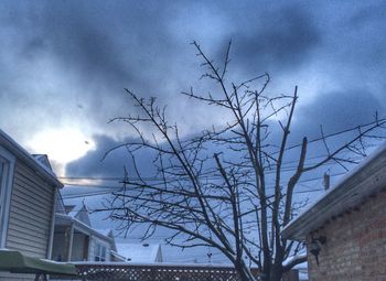 Bare tree against sky