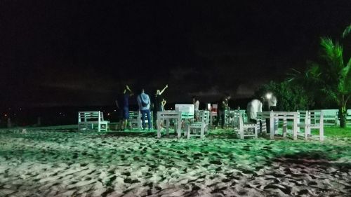 View of trees at night