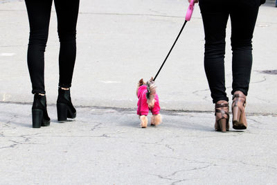 Low section of women walking outdoors