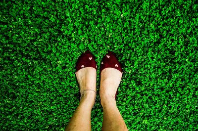 Low section of person standing on ground