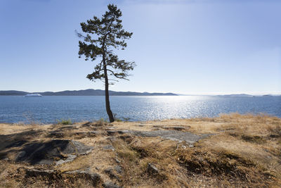 Scenic view of sea against clear sky