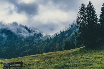 Scenic view of trees and mountains against sky