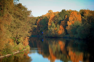 Scenic view of lake by trees during autumn