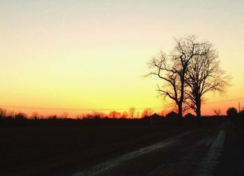 Bare trees on landscape at sunset