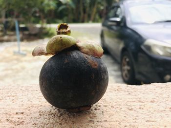 Close-up of fruit on street