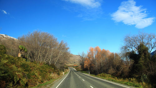 Road amidst plants and trees against blue sky