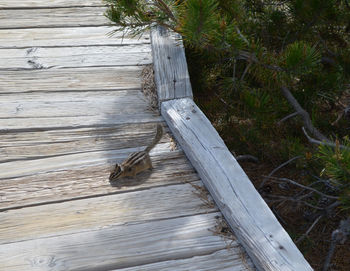 High angle view of wooden planks