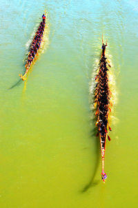 High angle view of people in boats on sea