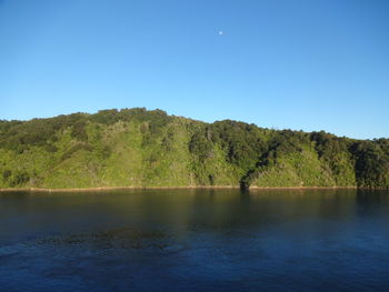 Scenic view of trees against clear blue sky