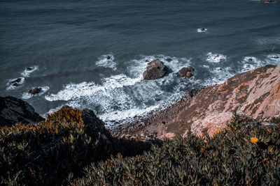 Scenic view of sea shore