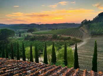 Scenic view of landscape against sky at sunset