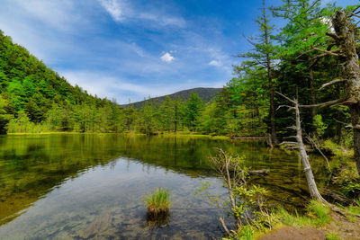 Scenic view of lake by trees and mountains against sky