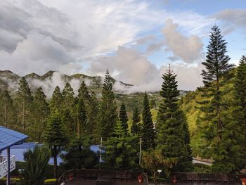 Panoramic view of trees and mountains against sky