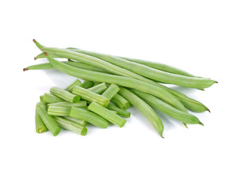 High angle view of green leaf on white background