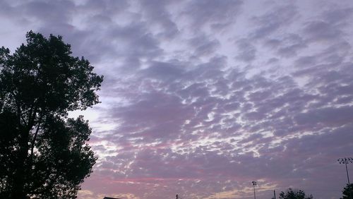 Low angle view of trees against cloudy sky