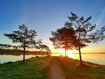 View of trees on landscape during sunset