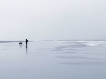 Man with dog on shore at beach against sky