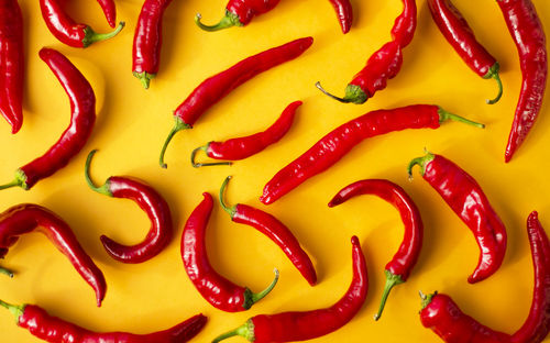 Backgrounds are bright vegetable. red hot hot peppers on a yellow background. chile peppers. spices.