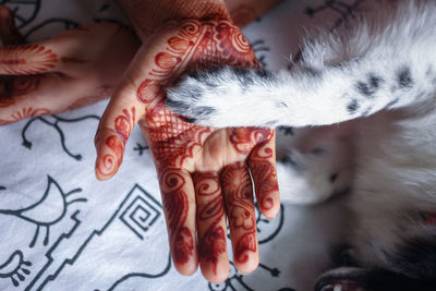 Close-up of hand feeding cat on bed