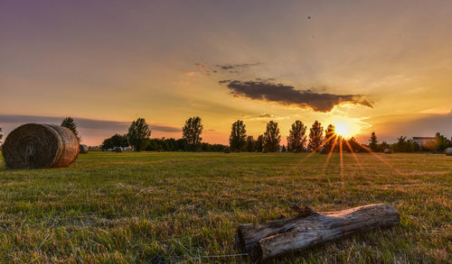 Scenic view of field against sky during sunset
