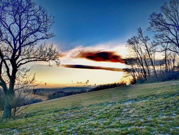 Scenic view of field against sky during winter