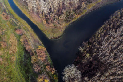 High angle view of trees on landscape