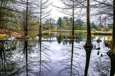 Scenic view of lake by trees during winter