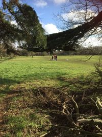 Rear view of woman with bicycle on field