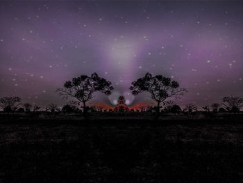 Silhouette trees on field against sky at night