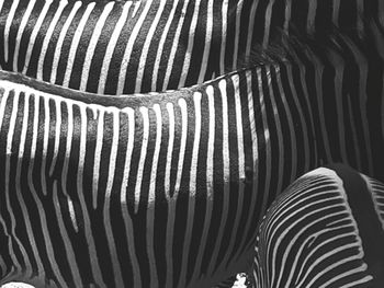 Full frame shot of stripes on zebra