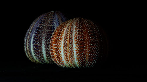 Close-up of balls against black background