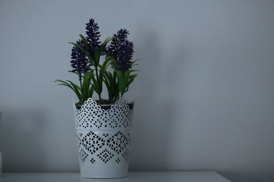 Close-up of potted plant on table against wall