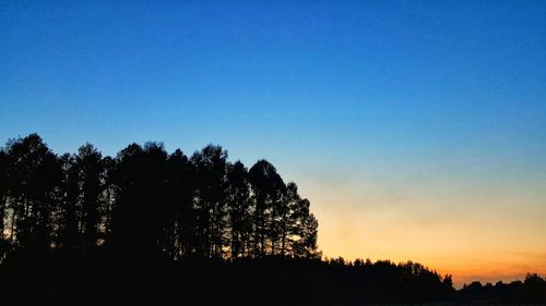 Silhouette trees against clear sky during sunset