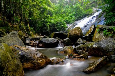 Scenic view of river flowing through rocks