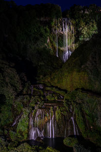 Scenic view of waterfall in forest